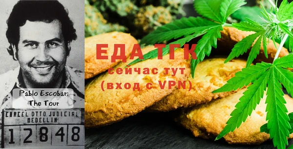 индика Арсеньев