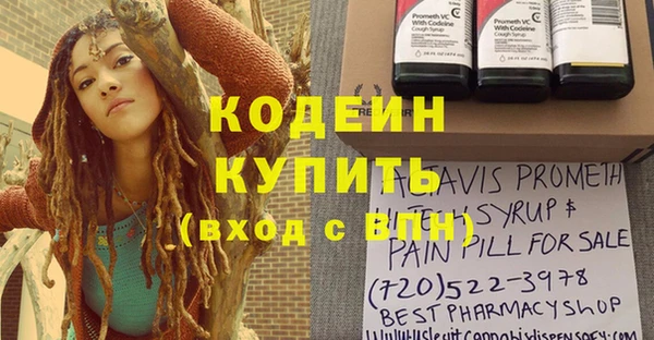 индика Арсеньев