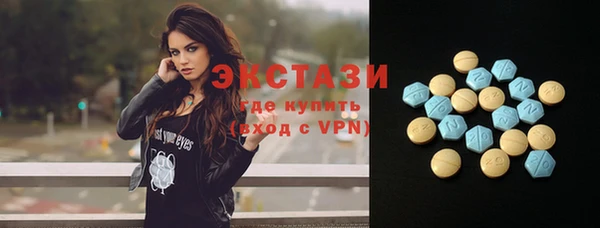 индика Сатка