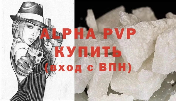 шишки Саяногорск