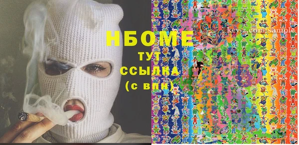 шишки Саяногорск