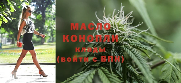 индика Арсеньев