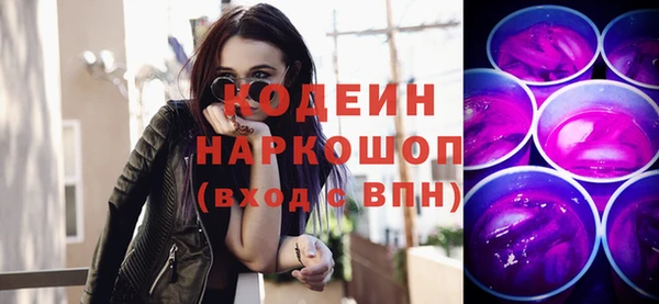 шишки Саяногорск
