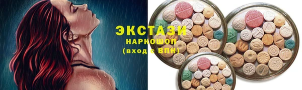 индика Сатка